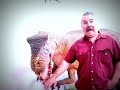 A day at the Zoo