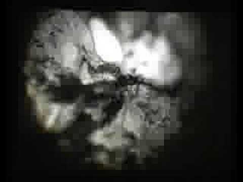 Ken Jacobs - Celestial Subway Lines ...