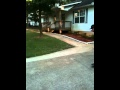 Skateboarding at Colby's 21