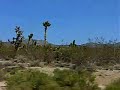 Driving through the desert