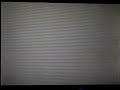 Hunting Munchlax - An Abundance of Combee
