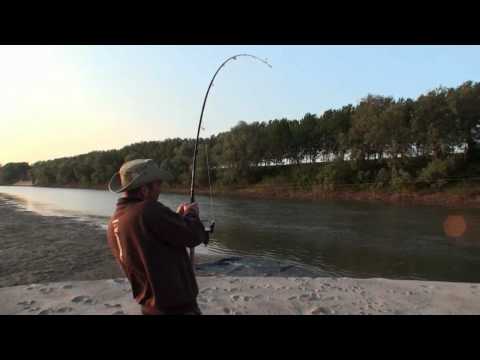 Black Cat Catfish-Tour is more fun than Sex!_Legjobb vide�k: Horg�szat