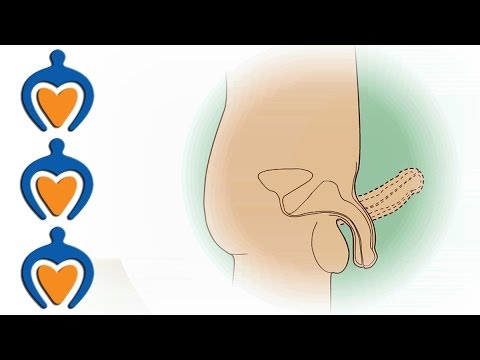 Men health animation