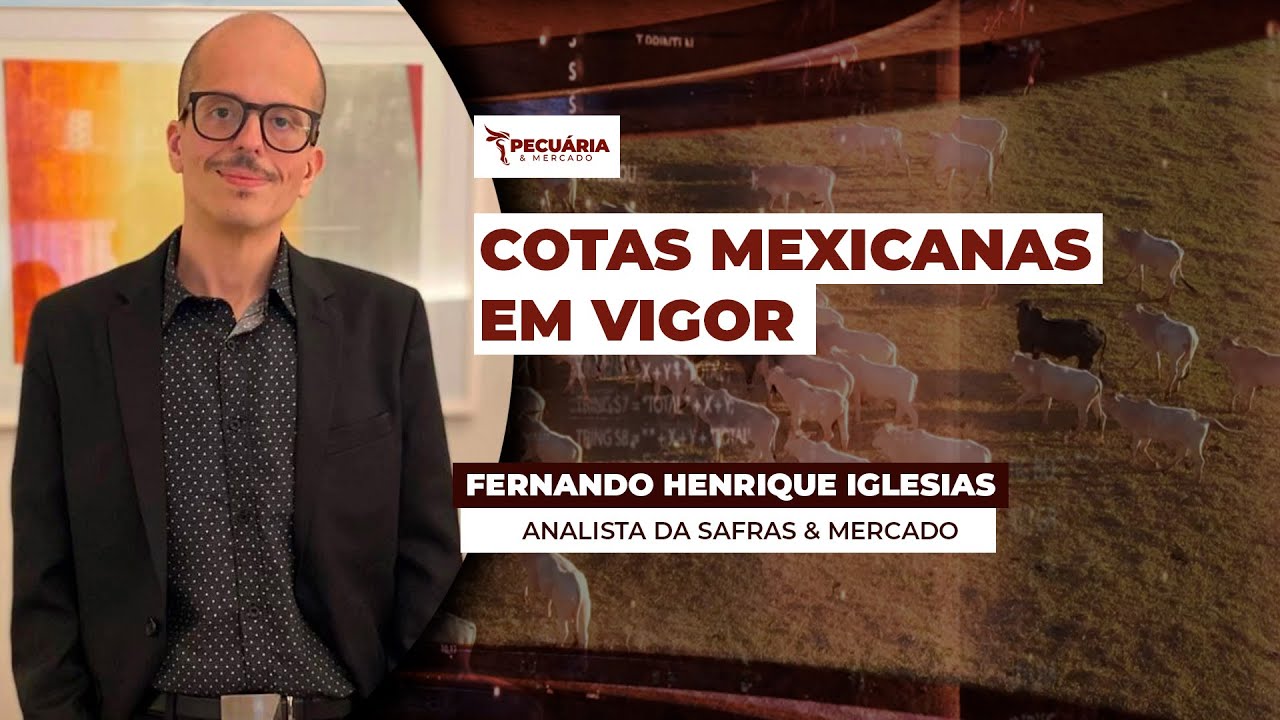 China e agora o México estabelecem cotas para as exportações brasileiras, mas cenário segue...