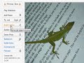 Bubbleshare product spotlight webcast