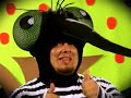 Dengue D� Dengue