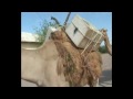 Rocketboom: The Camel Bookmobile of Kenya