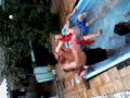 Gordinho Pelado  Na Piscina XD
