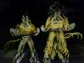 TRIBUTE - DBGT