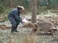 Counting all the animals at London zoo