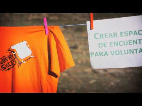 Link al vídeo