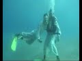 An Aquatic Wedding