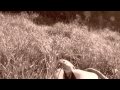 ROUND HERE MUSIC VIDEO (COUNTING CROWS- P!ATD COVER) - RE-EDITED!