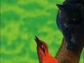 crowfeathert will miss leafpool
