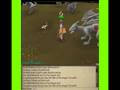 videos de runescape slayer (steel dragons)