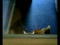 videos de lief rood poesje??