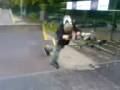 Open airea Frontflip 180