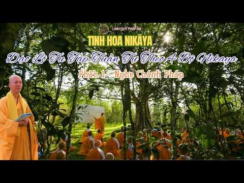 Đạo Lộ Tu Tập Tuần Tự Theo 4 Bộ NIKAYA (Phần 1) - NGHE CHÁNH PHÁP