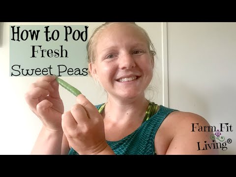 video-linktoworks-How to Pod Fresh Sweet Garden Peas