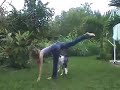 ob�rythm�e - dogdance: \"Jumping !\" - tricks-