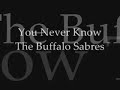 buffalo sabres fights video