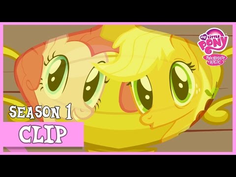 Applejack's Appreciation Day “Applebuck Season”