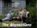 abyssinians   higher ground