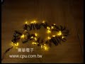 ?? 10M 100LED??? ?? AC110V,??? ?? 10M 100LED??? ?? AC110V,???
