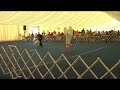 Cas - Advanced Freestyle - Ghostbusters
