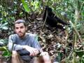 videos de mondika gorillas part 1