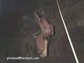 Espeleologia Espeleologia