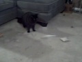 Jul 18 2008 - VID00069