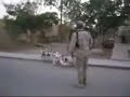 Drill sergeant in Iraq drilling ducks and geese Drill sergeant in Iraq drilling ducks and geese