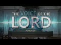 The Voice of The Lord - Pastor Stacey Shiflett