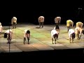Howard AKAs HU Homecoming Stepshow 09 Pt 2