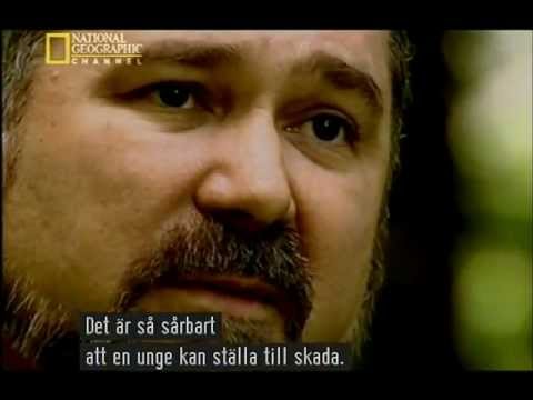hackers - Language: English Subtitle:Swedish/Svenska.