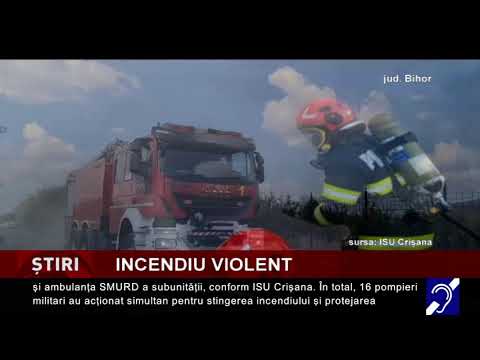 Incendiu violent, în localitatea Borș