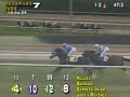 Barbaro Maiden Win Barbaro Maiden Win