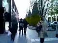 寒風吹きさすぶ丸の内仲通りのフラワーロード：ブルックスブラザース前:YouTube閲覧数=1,002回