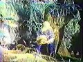 Hermeto Pascoal and the Music from the Frogs
