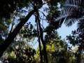 Hermeto-Pascoal-and-