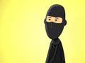 Ask A Ninja Special Delivery Doogtoons