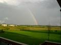 pretty rainbow