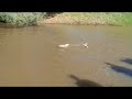 3 aquacraft reef racer 2s pt. 2(ATTACK OF A METAL PROP.) 3 aquacraft reef racer 2s pt. 2(ATTACK OF A METAL PROP.)