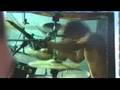 Gojira live in Arras - Vacuity (new album)