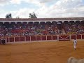 recortadores en peñaranda