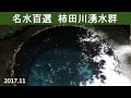名水百選「柿田川湧水群」2017
