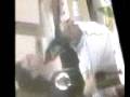 videos de alfonso d'antuono e il suo ballo del cavallo