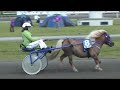 Vicke kommer på 2. plass 19.07.2008- Ponnilandsleieren 2008 Vicke kommer på 2. plass 19.07.2008- Ponnilandsleieren 2008