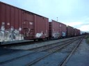 CSX Q439 at Alexandria,VA on 9,27/08
